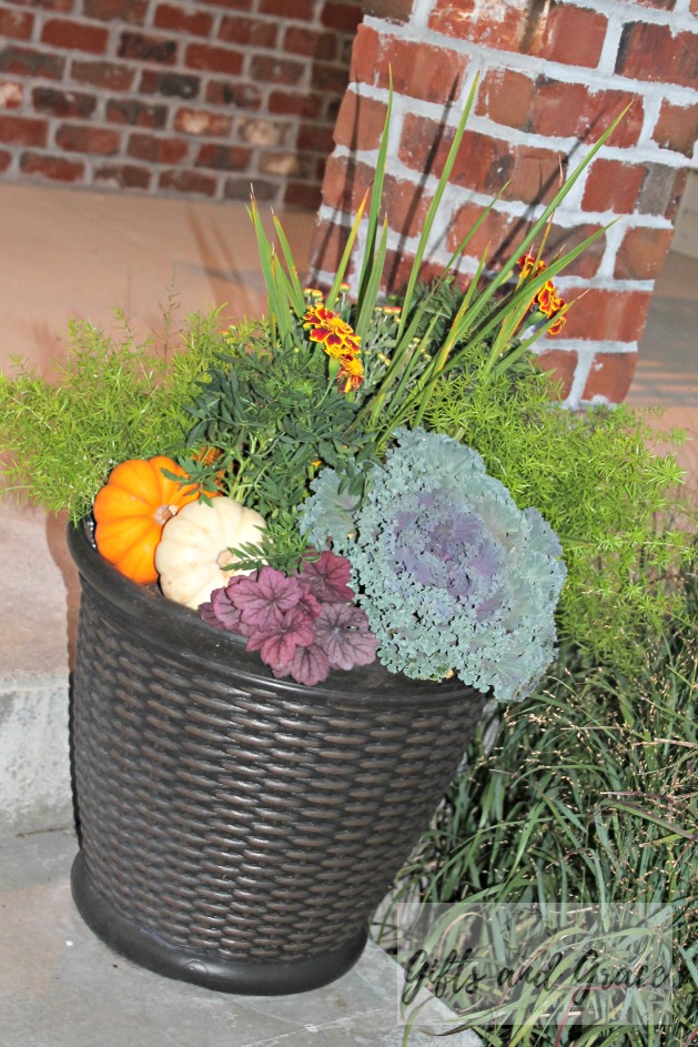outdoor fall planting