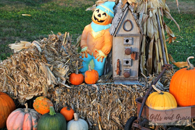 scarecrow, corn shocks, bales, pumpkins and gourds